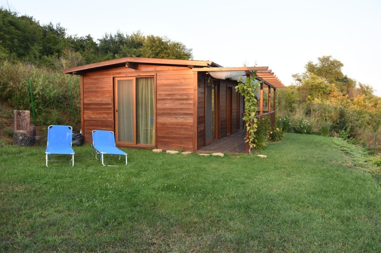 Villa Viridi Sozopol Exterior foto